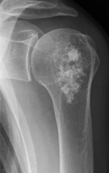 ФМБА России Пресс-служба