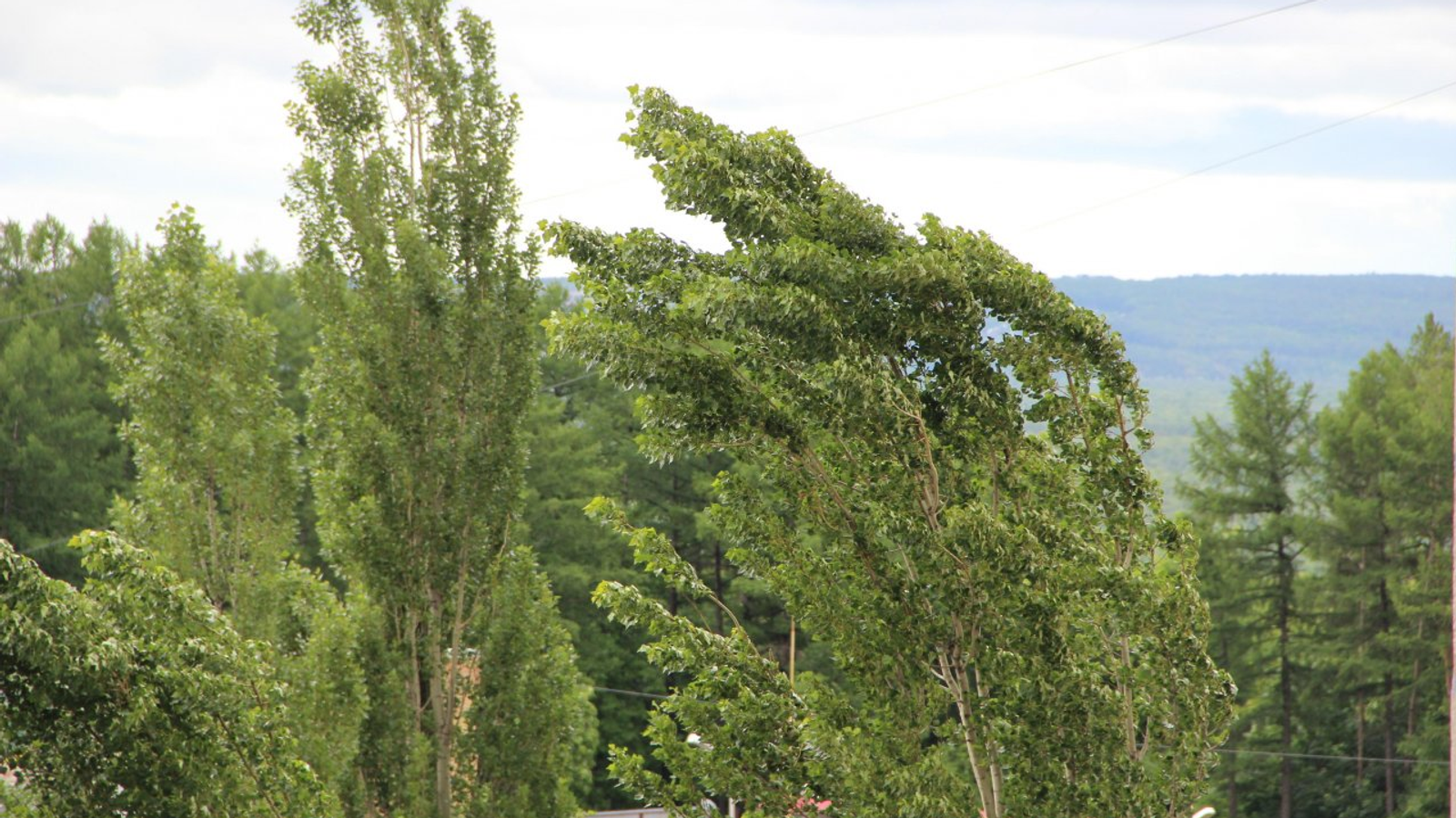 Ксения Калинина