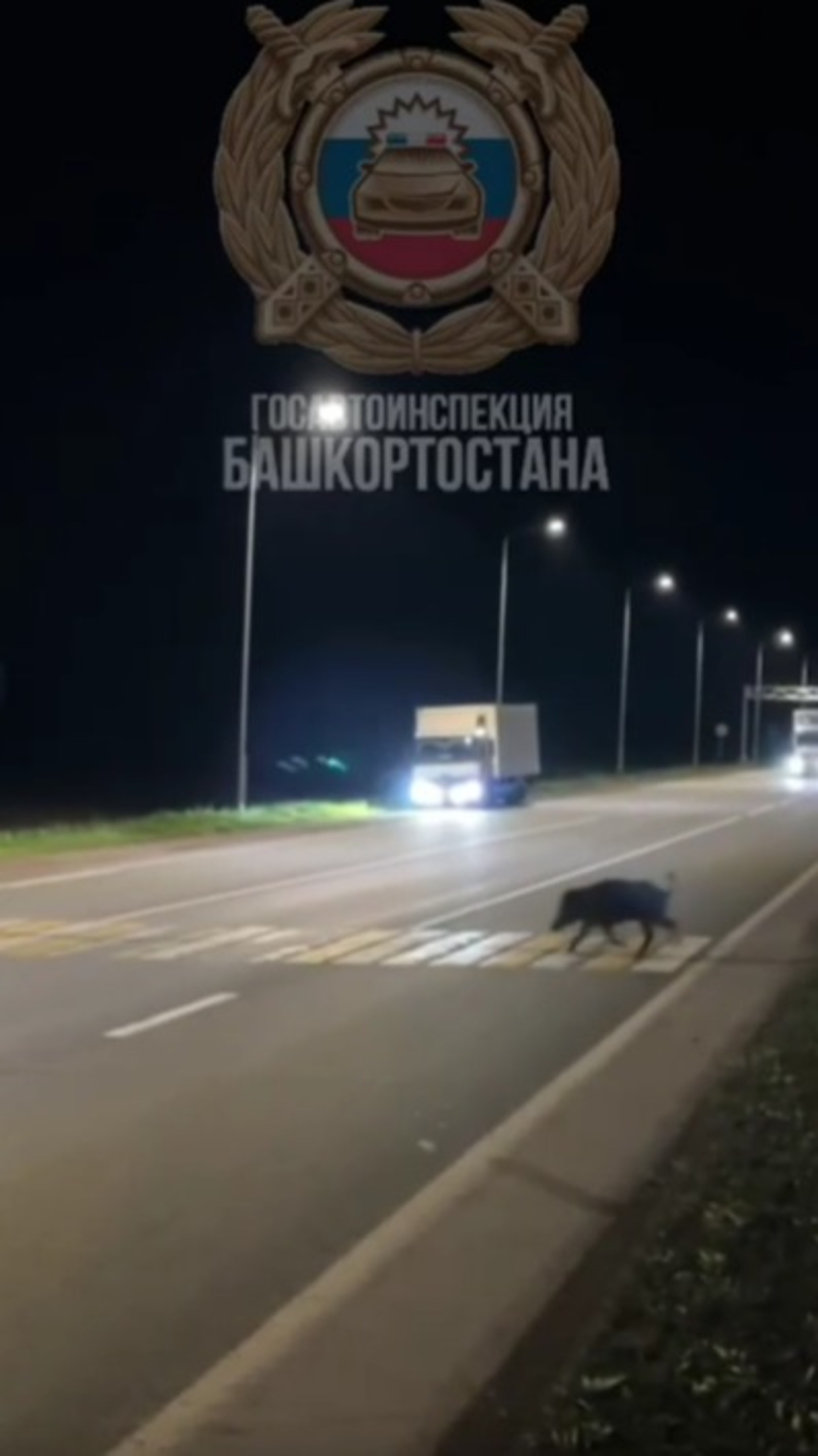 скриншот видео