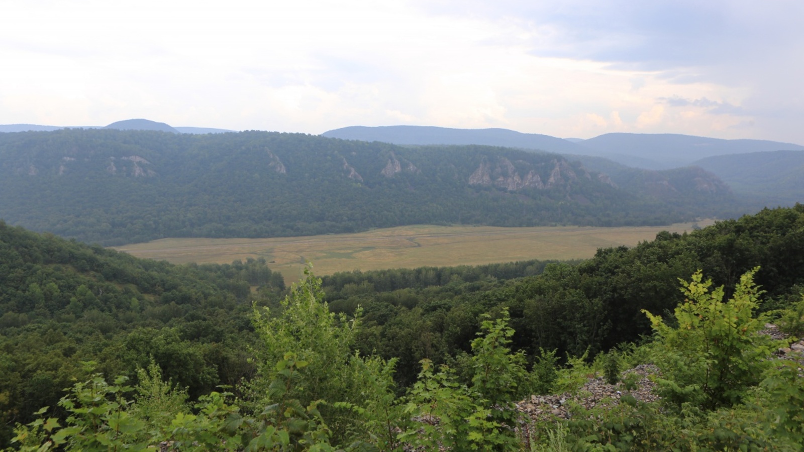 Андрей Старостин