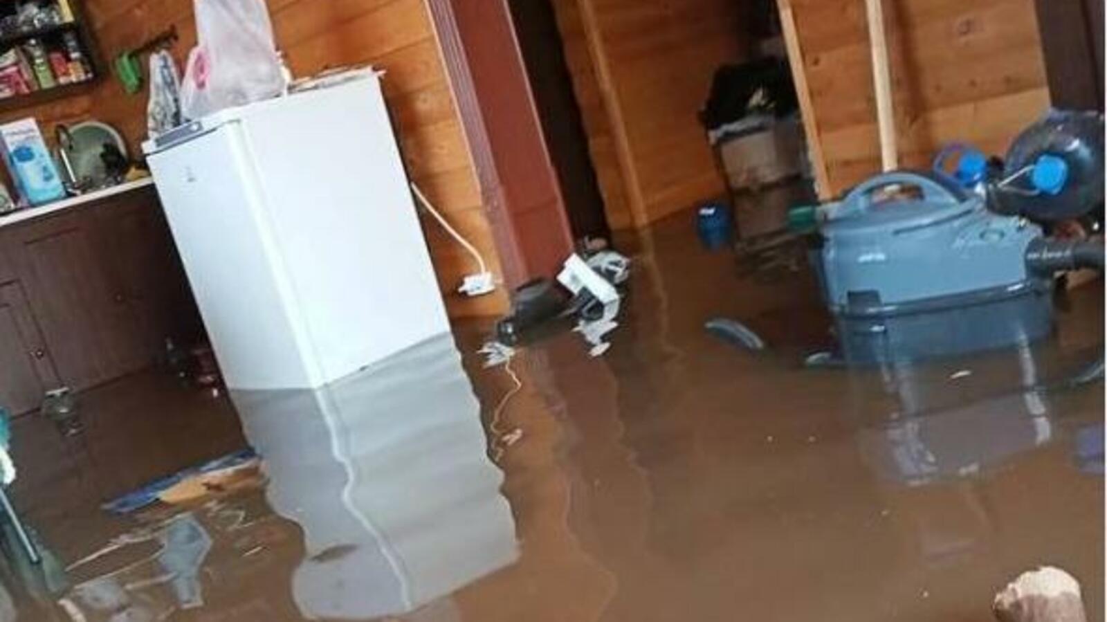 скриншот видео