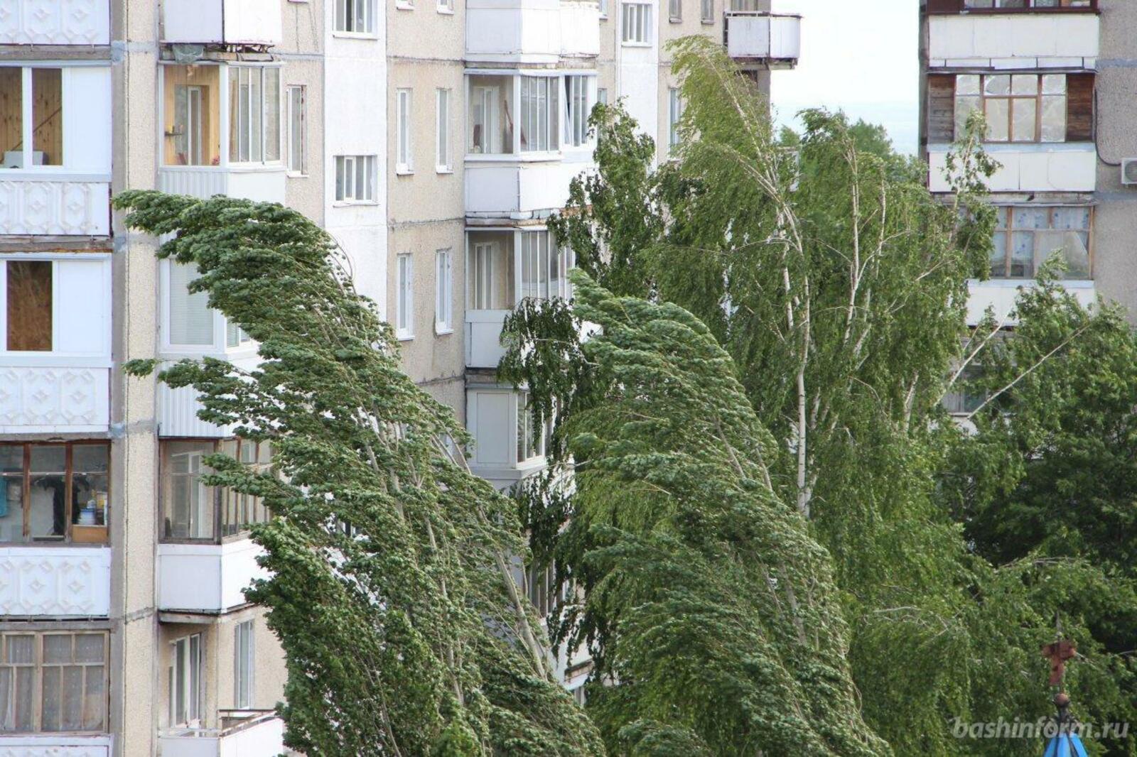 ИА «Башинформ»