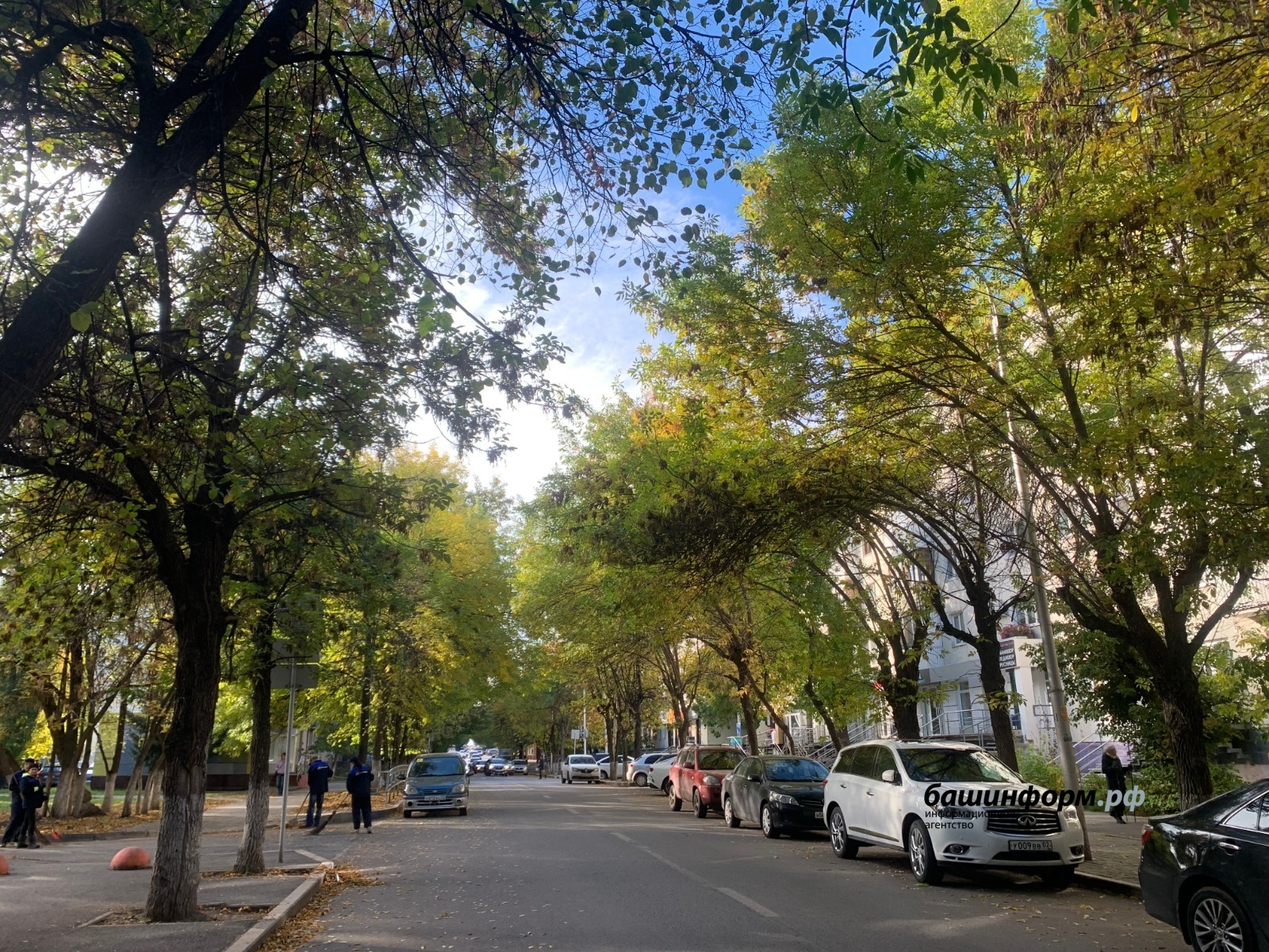 Галина Бахшиева