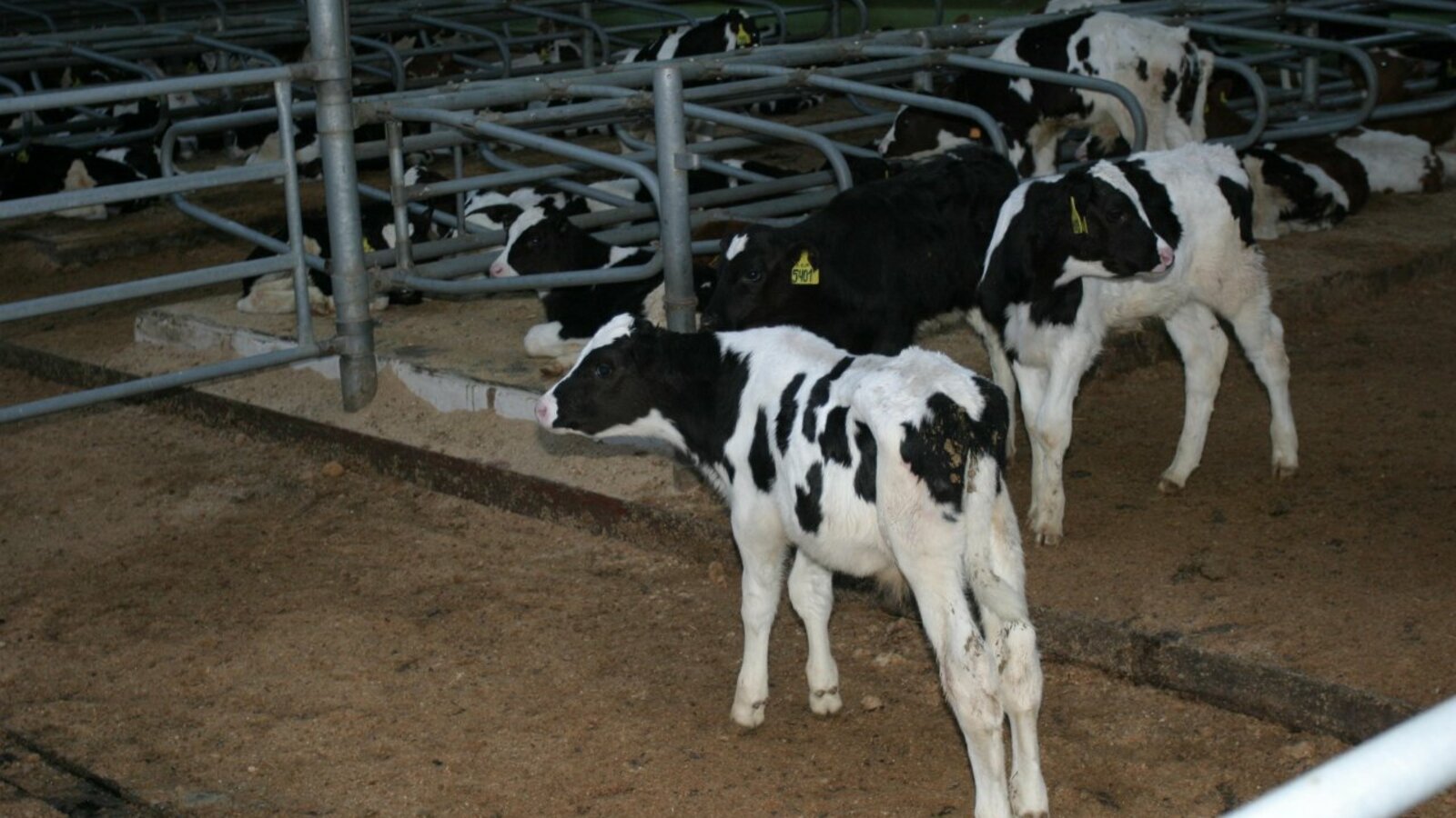 Олег Яровиков