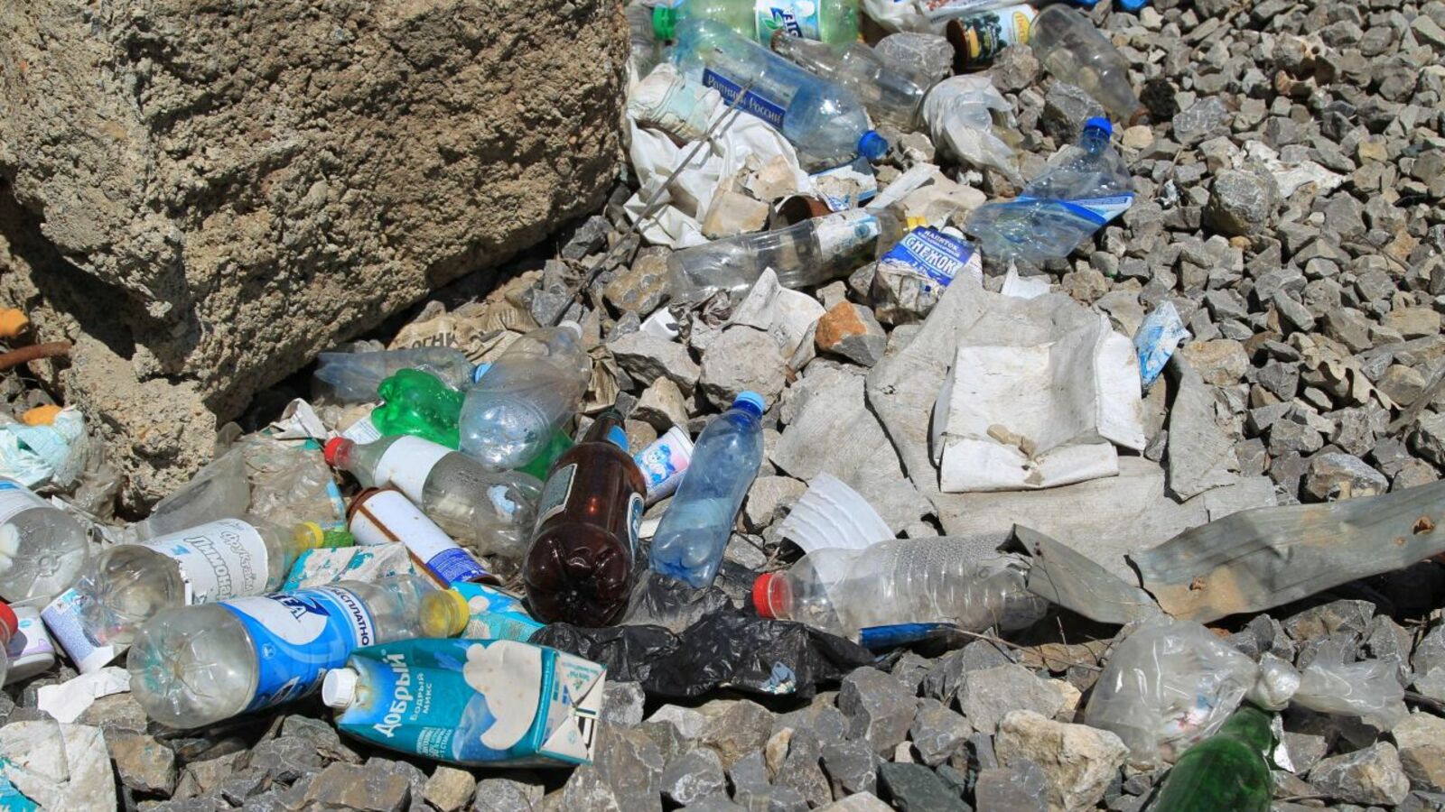 Андрей Старостин