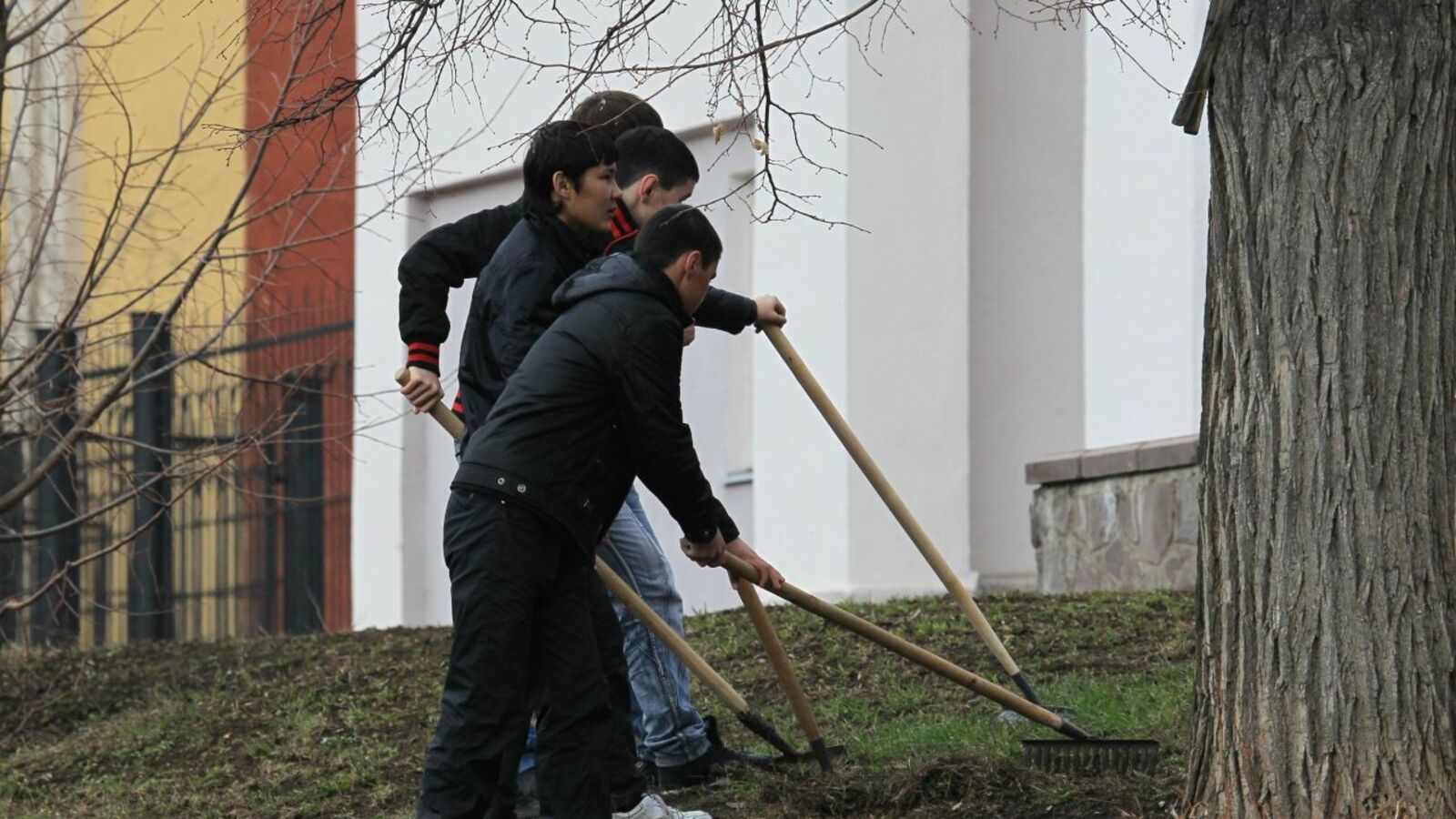 Андрей Старостин