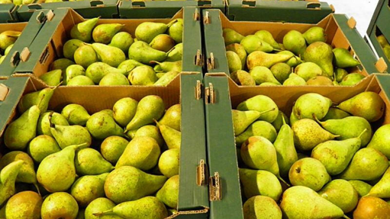 Россельхознадзор по РБ