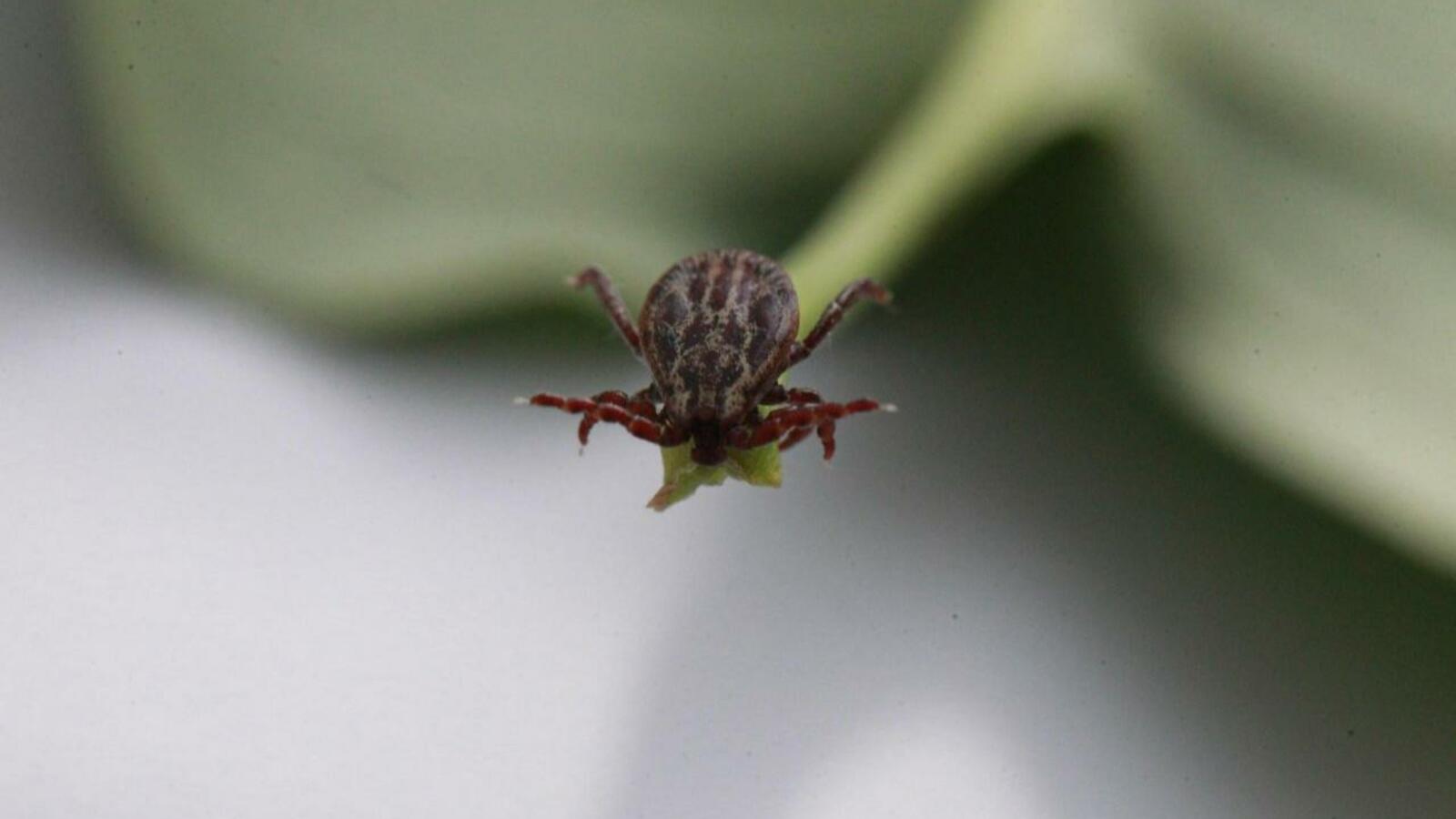 ИА «Башинформ»