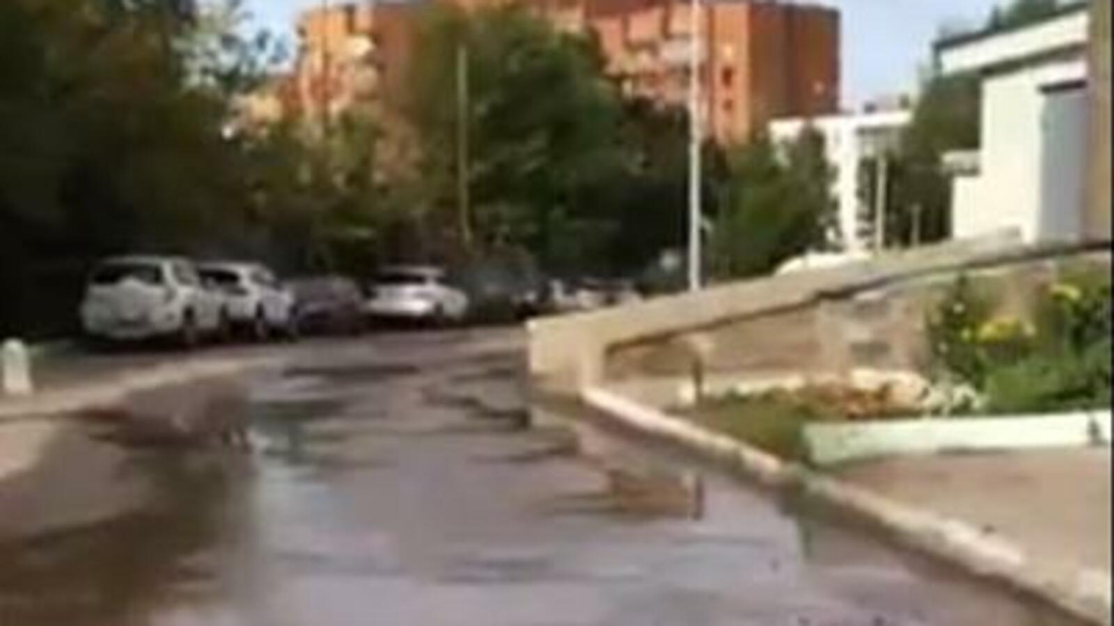 Олег Султанов