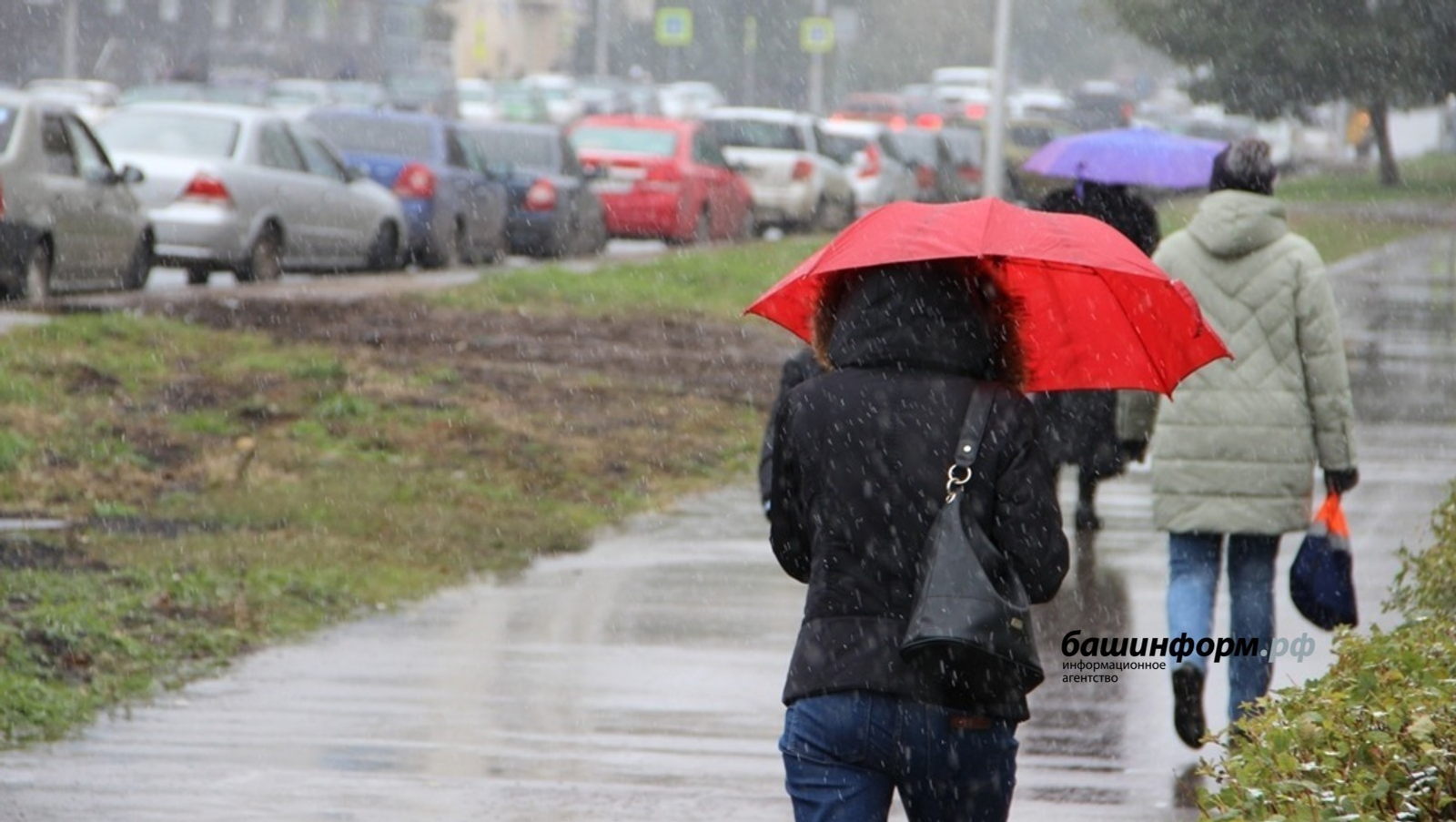 Ксения Калинина