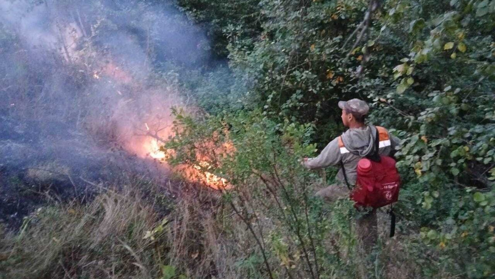 госкомитет РБ по ЧС