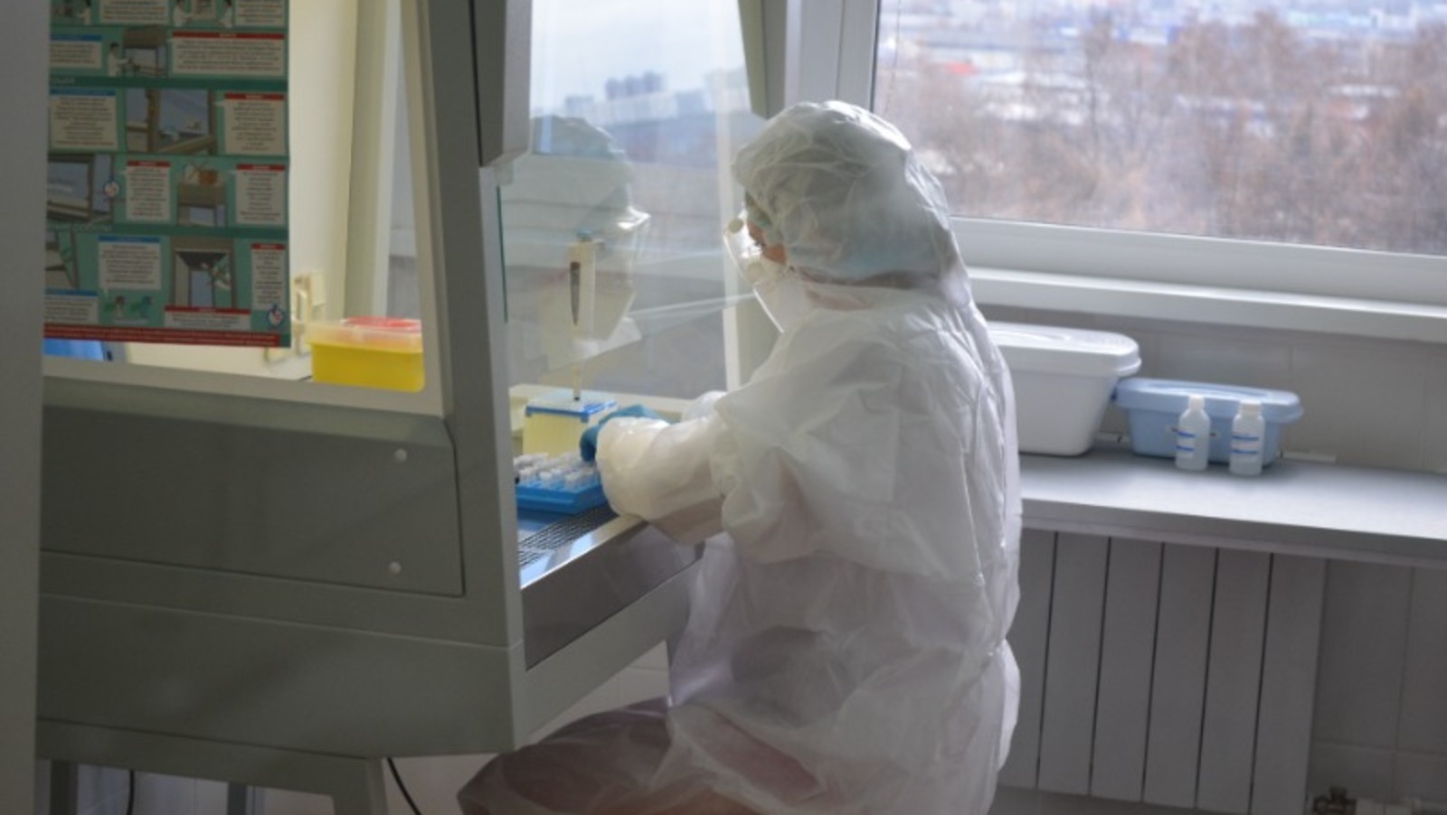 Ксения Калинина