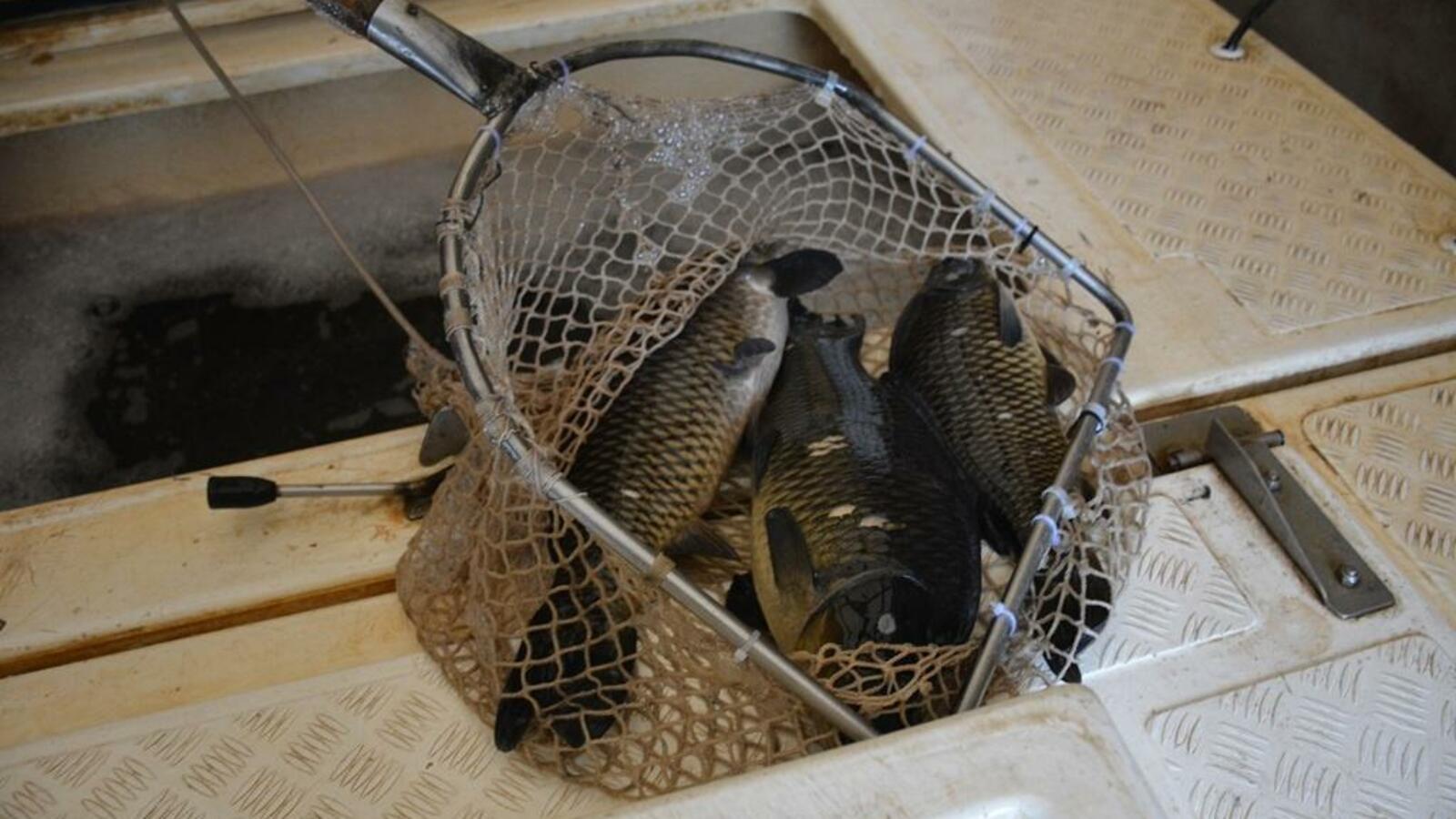 администрация г. Уфы