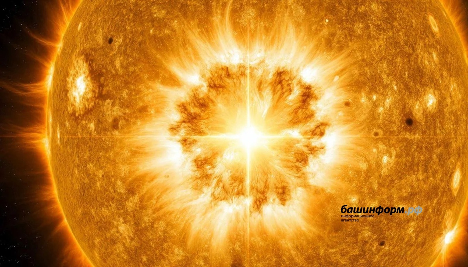 Scientists expect up to 10 high-class solar flares in 2026