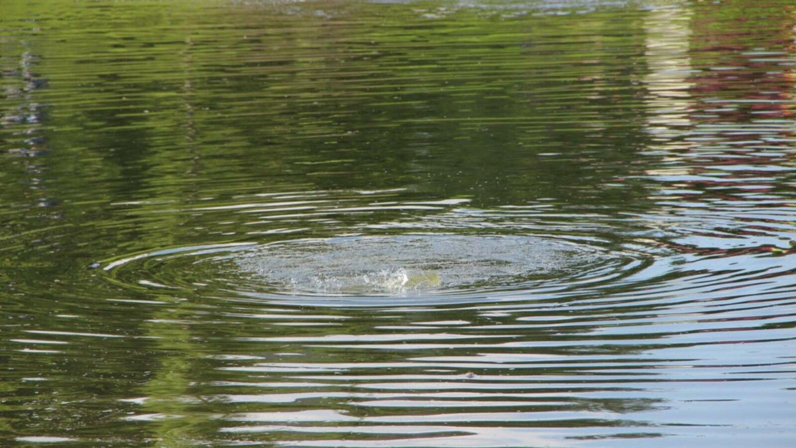 ИА «Башинформ»