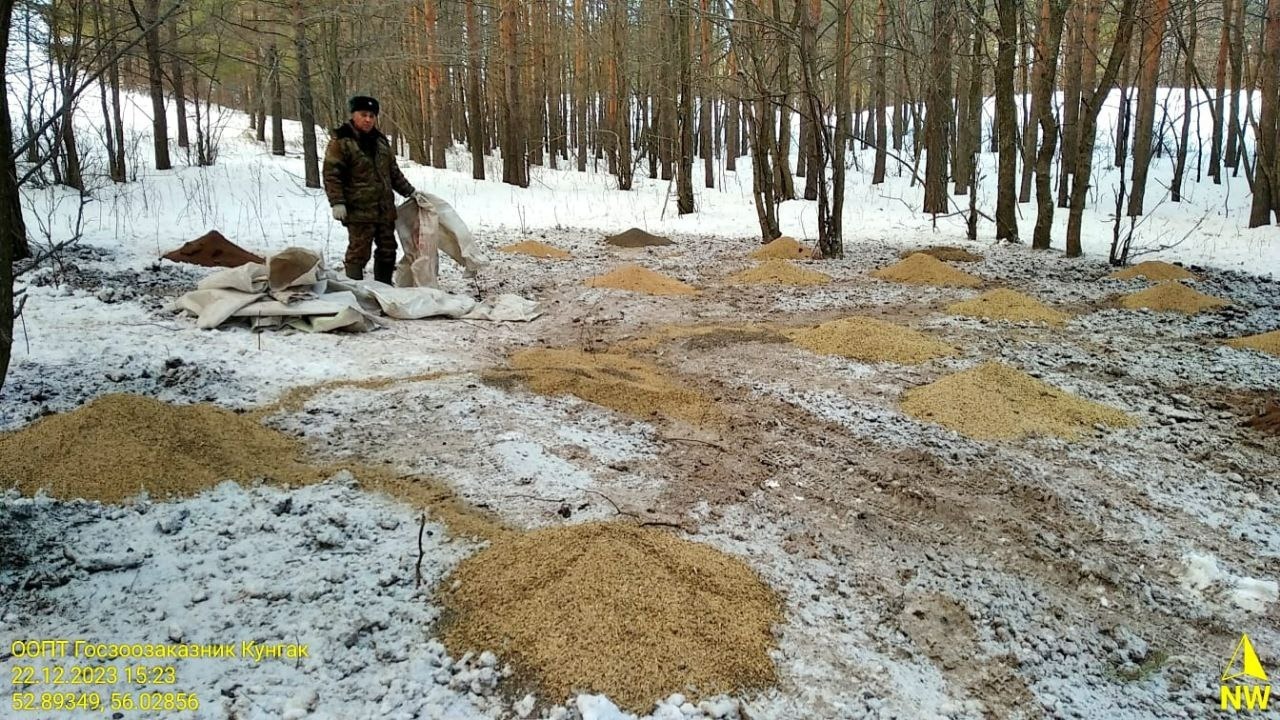 правительство Республики Башкортостан