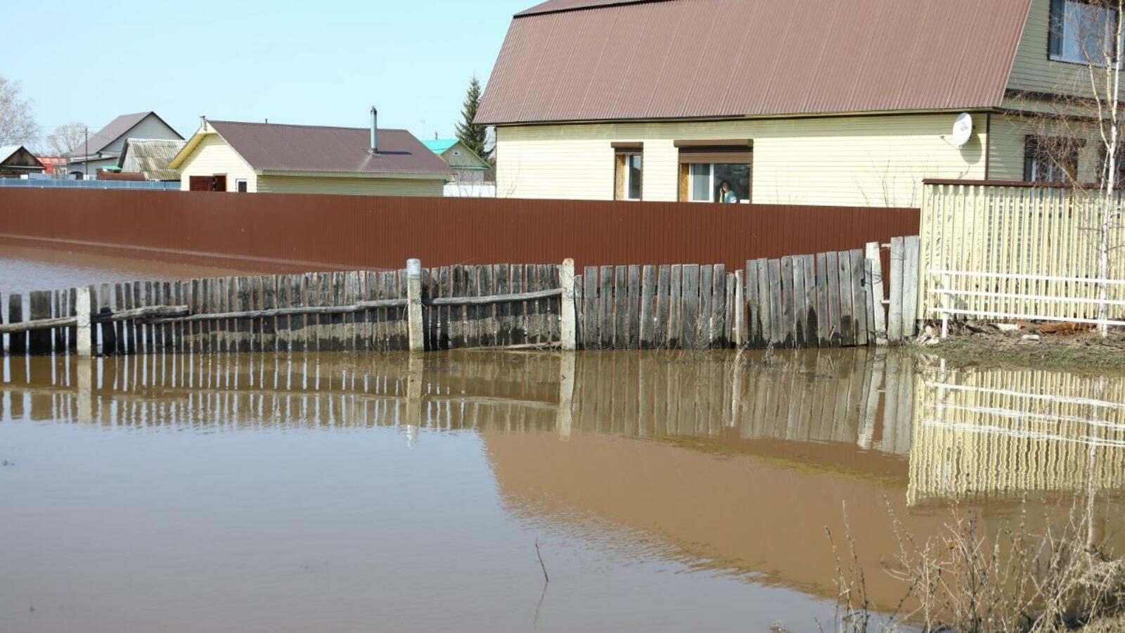Валерий Шахов