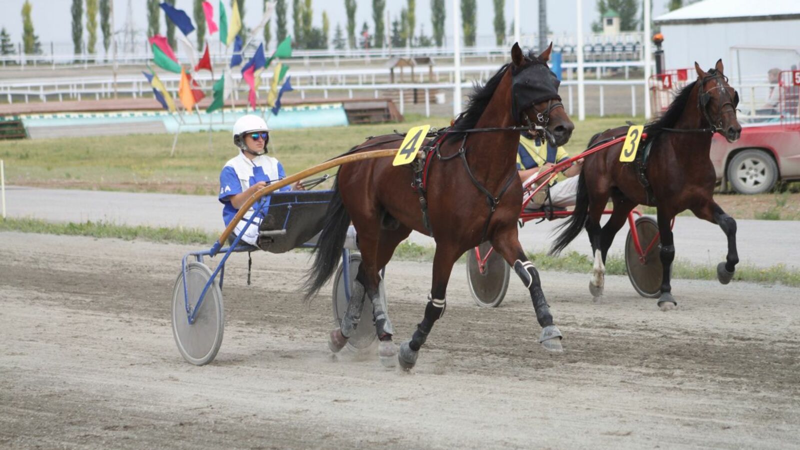 пресс-служба ипподрома Акбузат