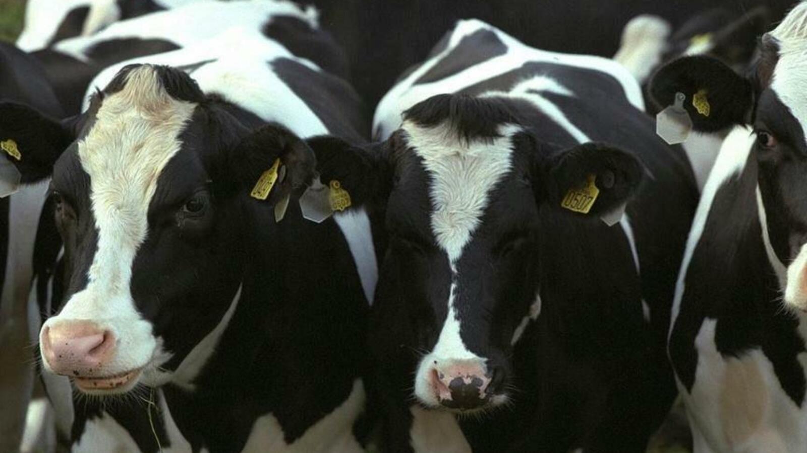 Россельхознадзор по РБ