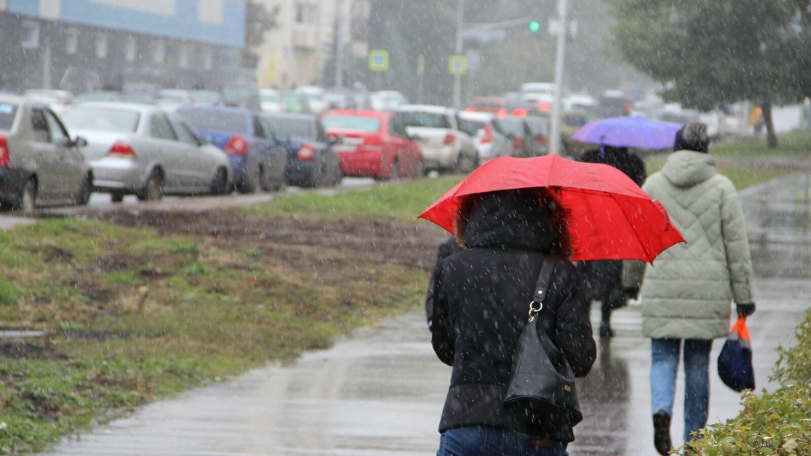 Ксения Калинина