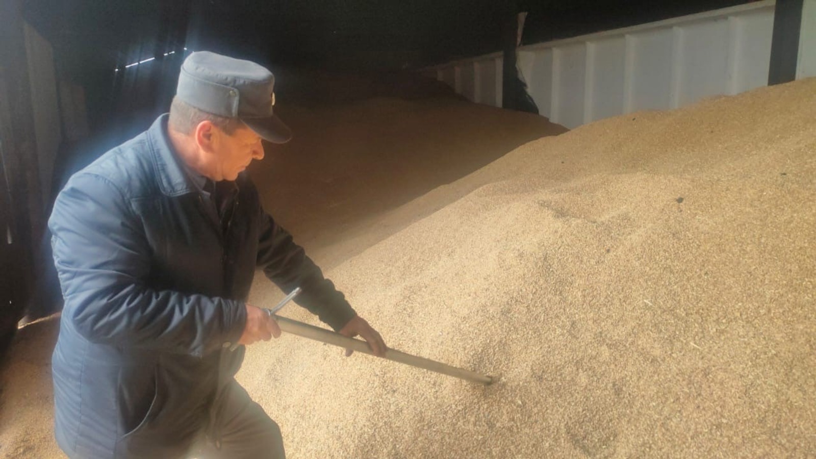 Россельхознадзор по РБ пресс-служба