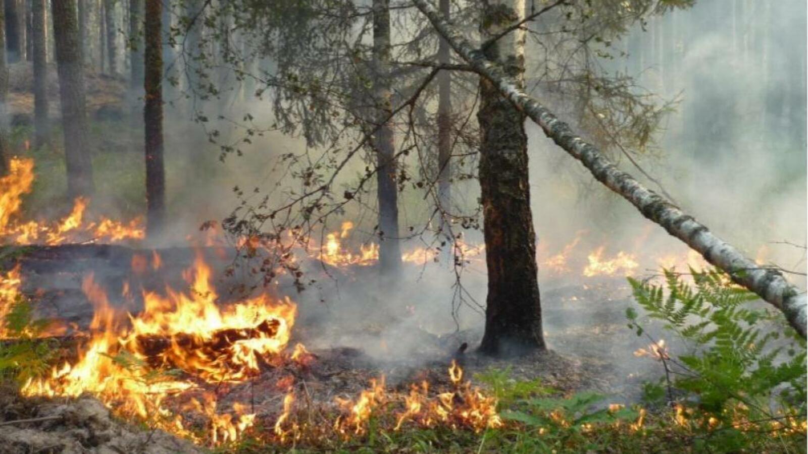 ИА «Башинформ»