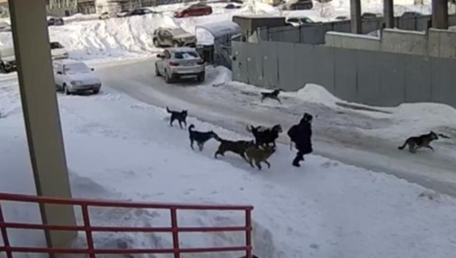 соцсети