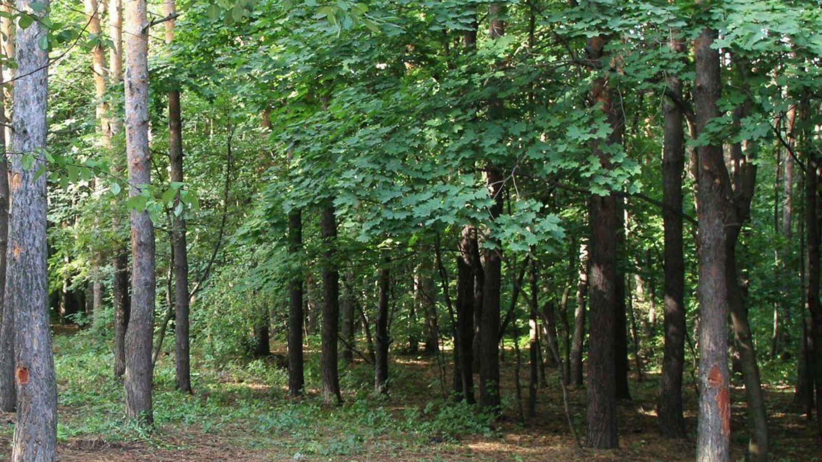 ИА «Башинформ»