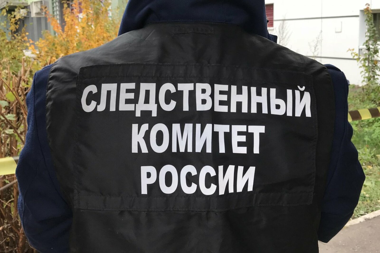 автор