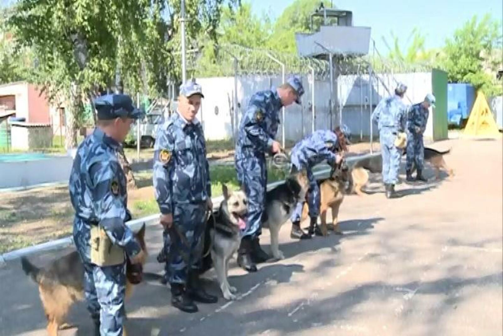 телеканал Вся Уфа