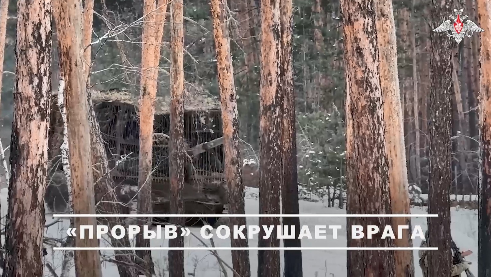 стоп-кадр видео соцсети