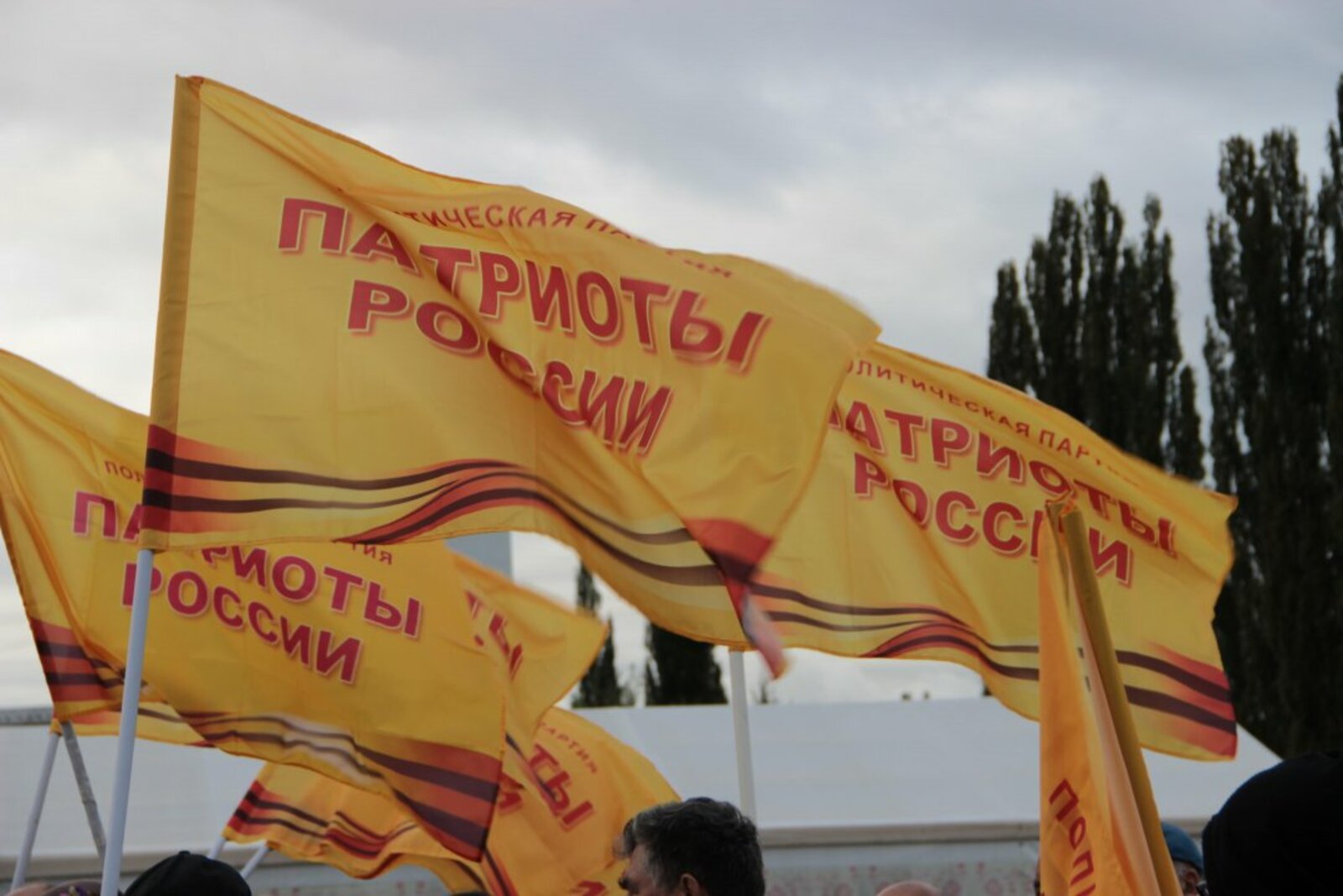 автор