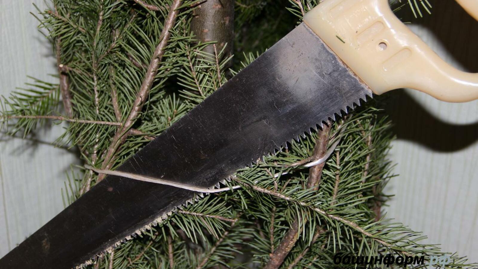 ИА «Башинформ»