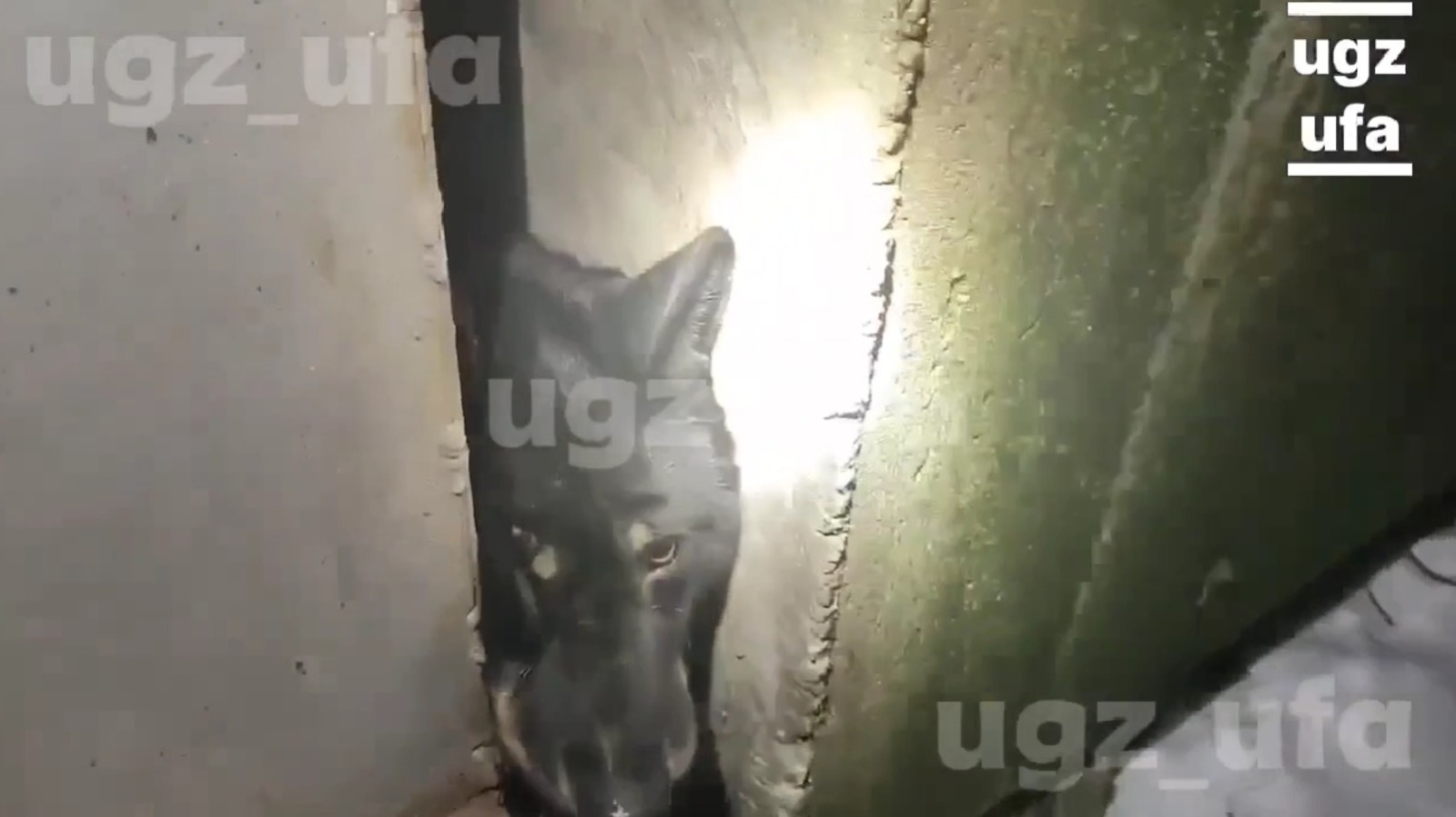 Скриншнот Видео пресс-служба УГЗ г. Уфы