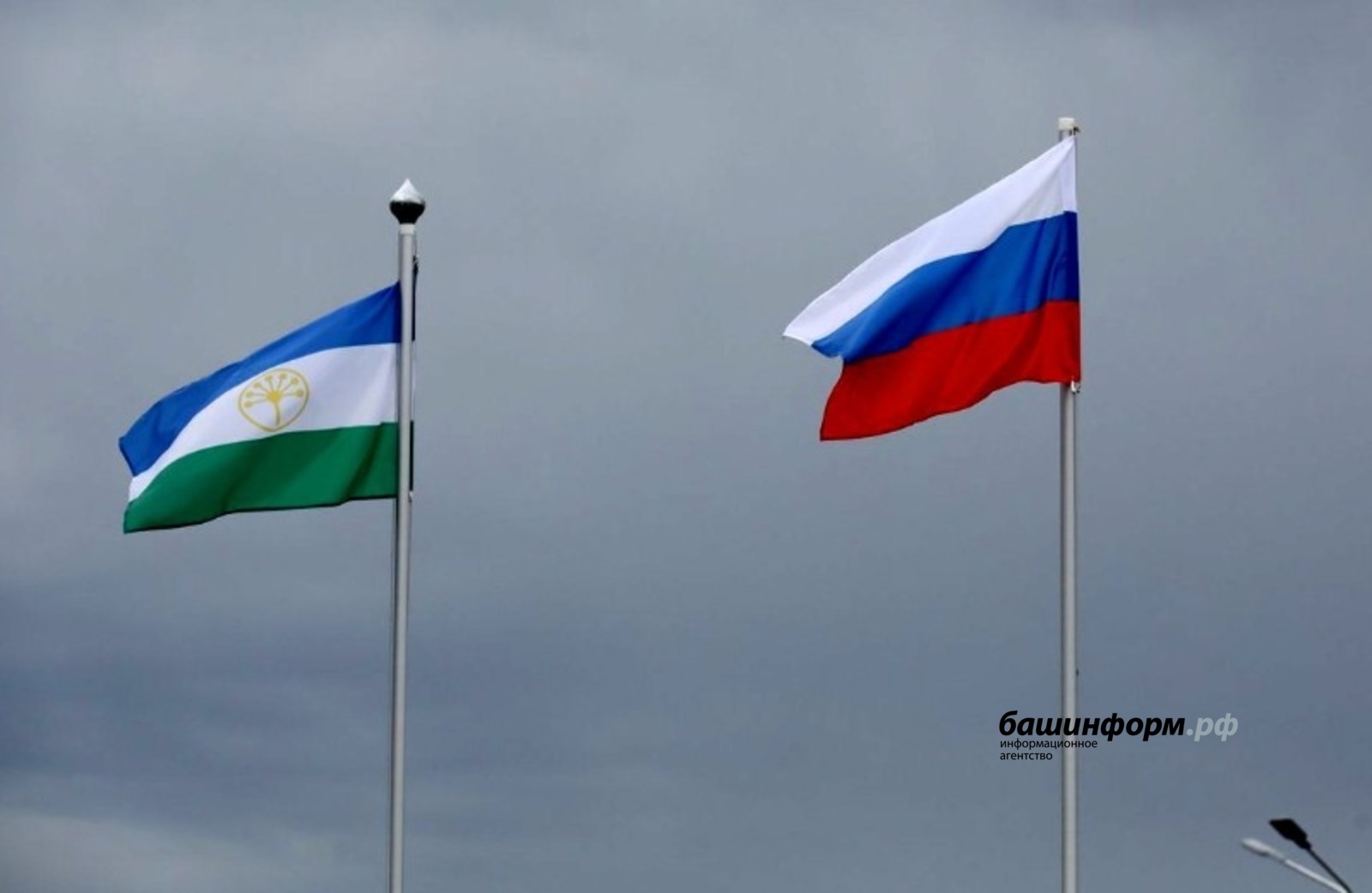 ОЭГ, «Башинформ»