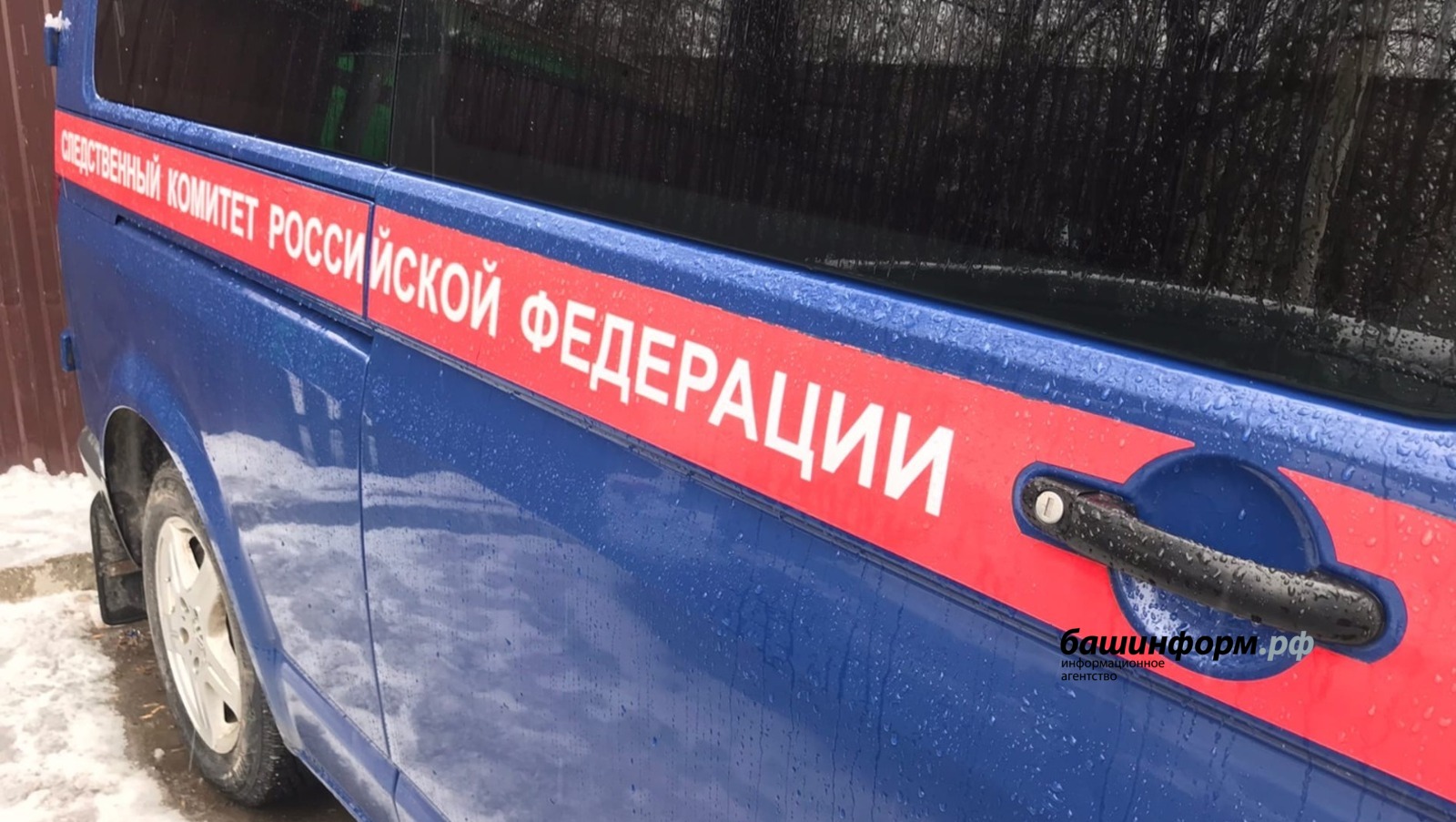 Ксения Калинина
