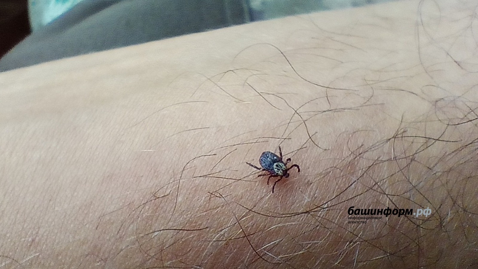 Валерий Шахов