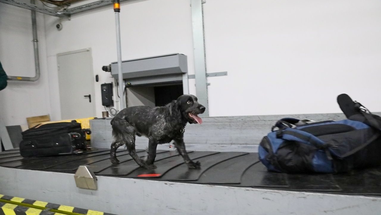 Валерий Шахов