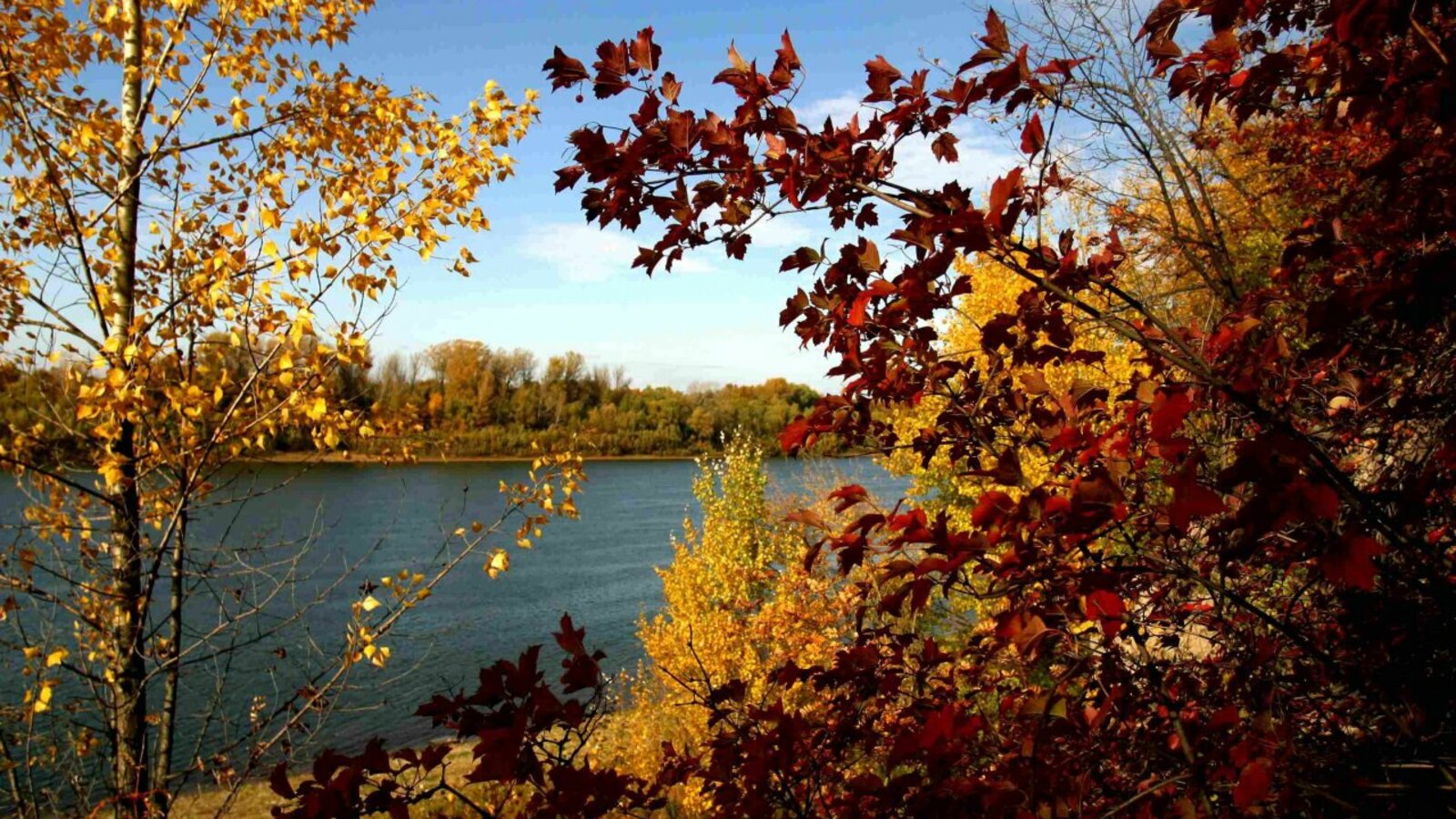 Национальный архив РБ