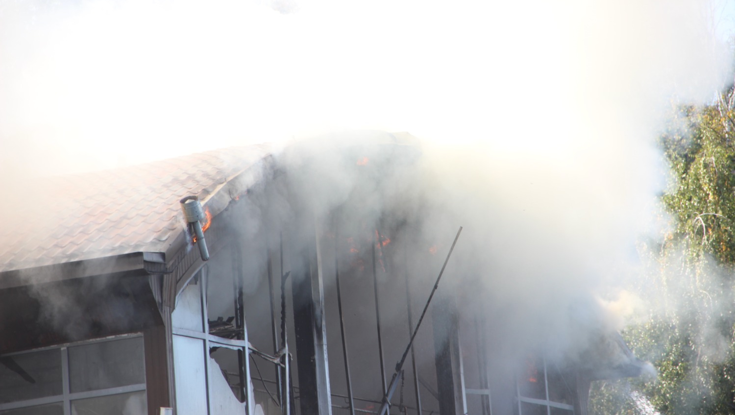 Ксения Калинина