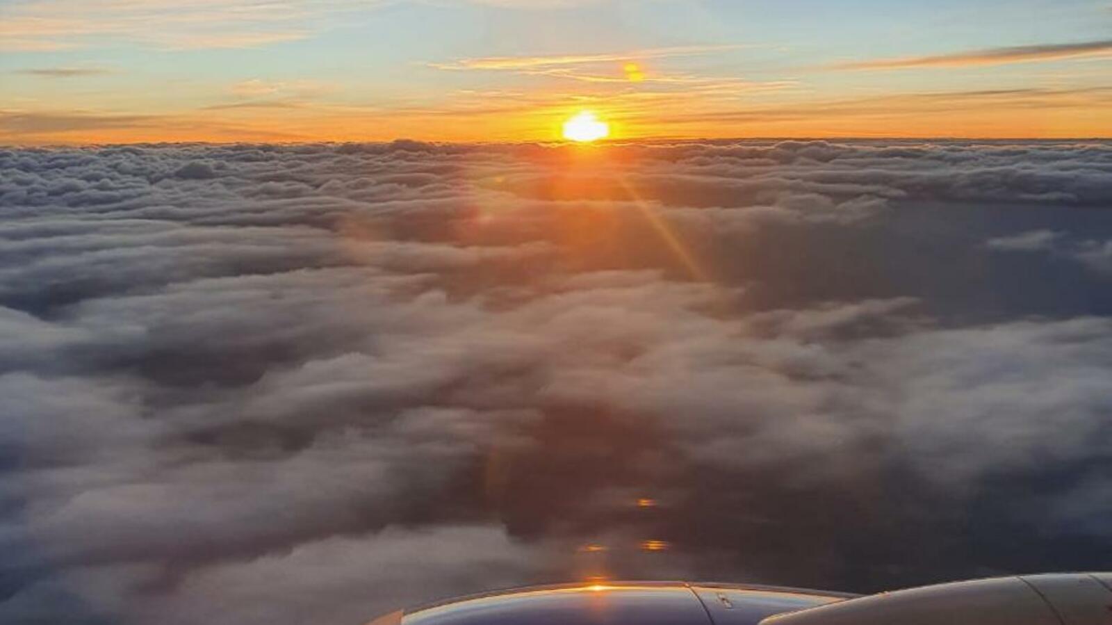 Виктория З.