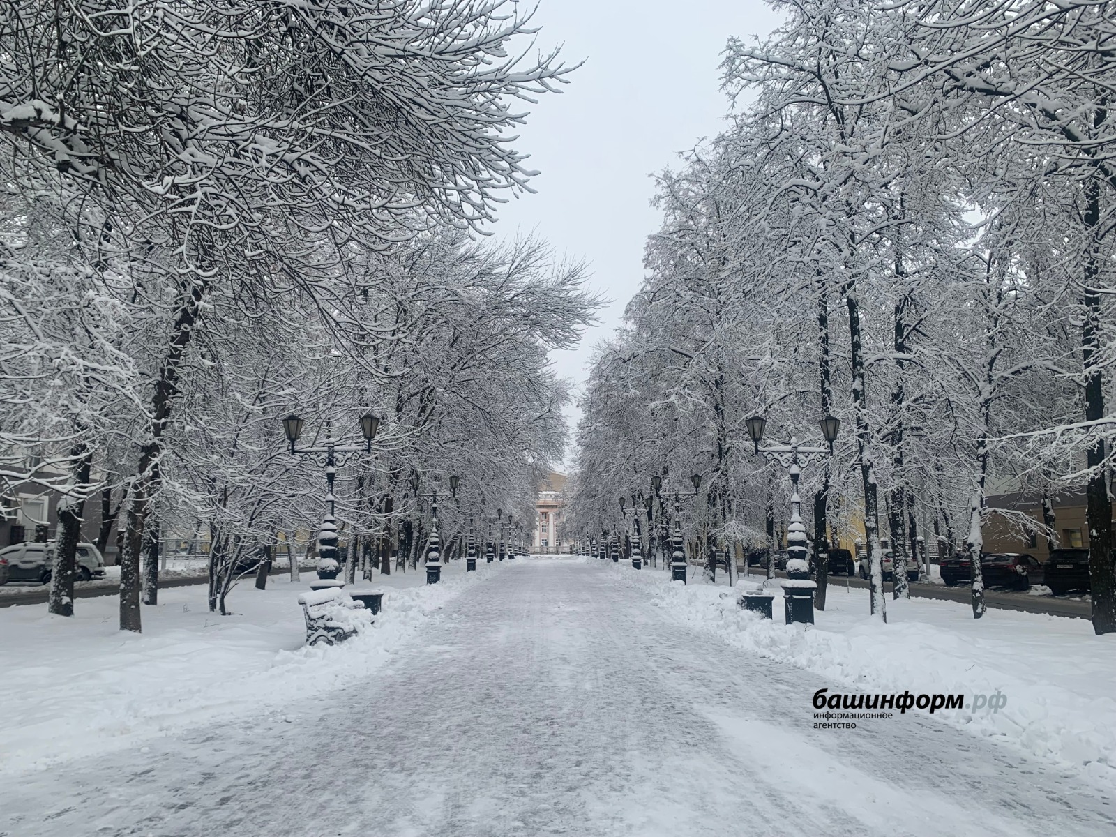 Галина Бахшиева
