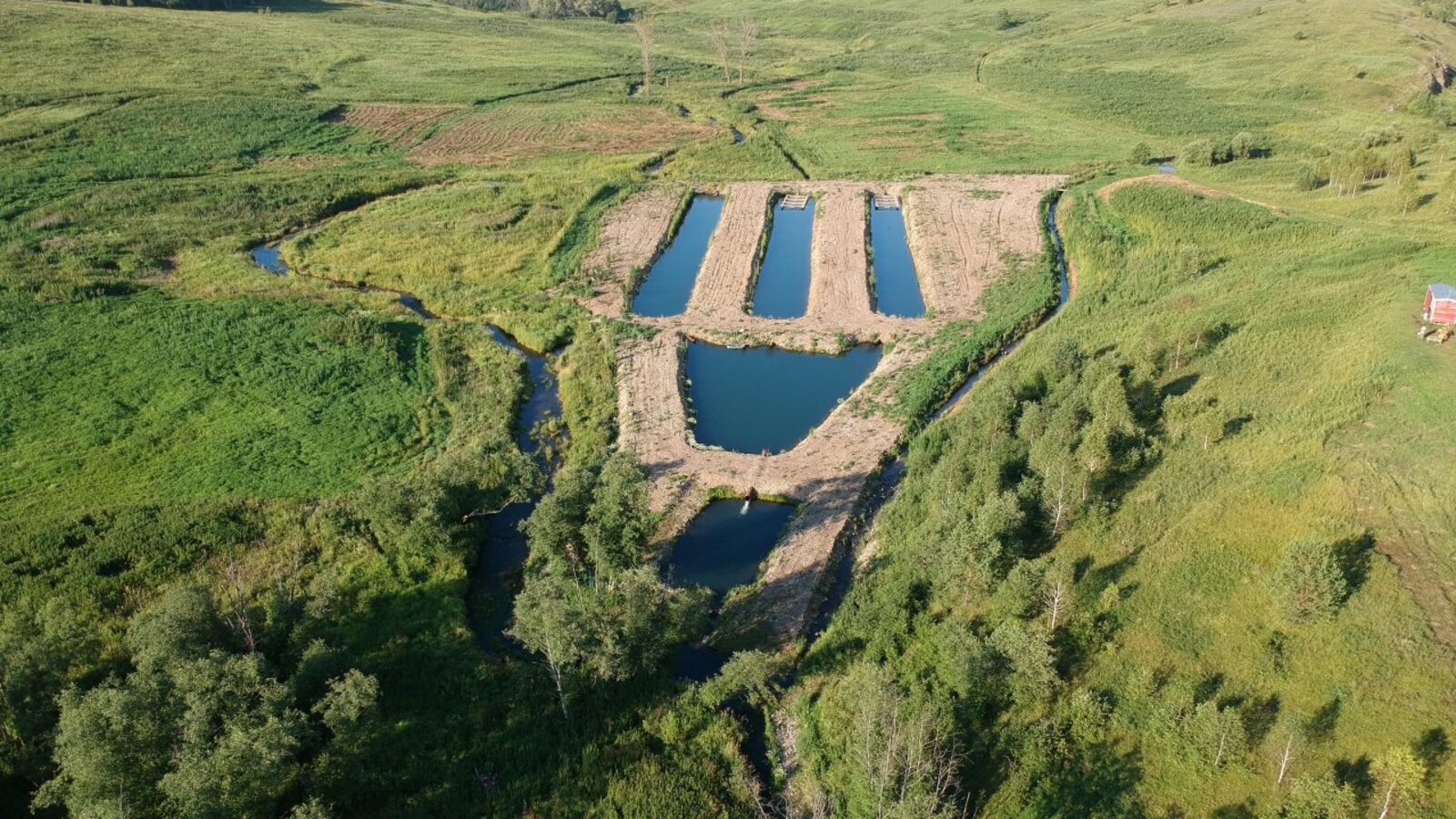 Эдуард Шарафутдинов