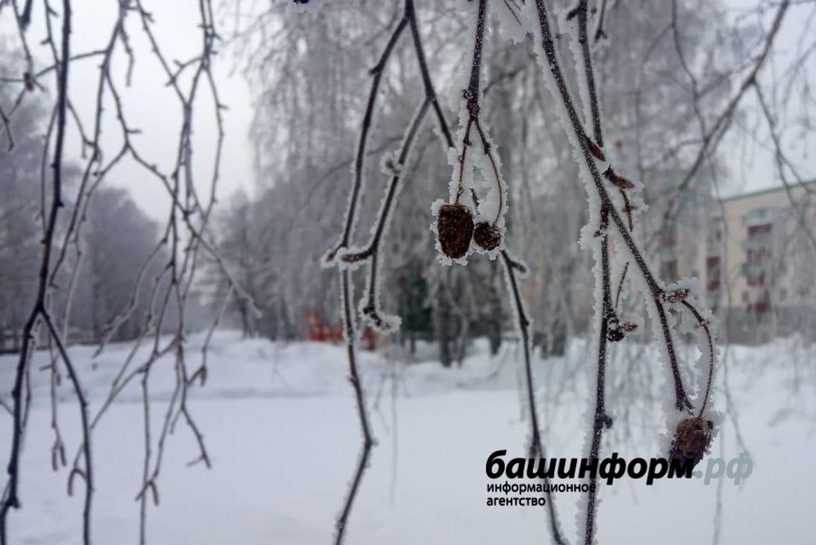 На Башкирию обрушится ледяной дождь