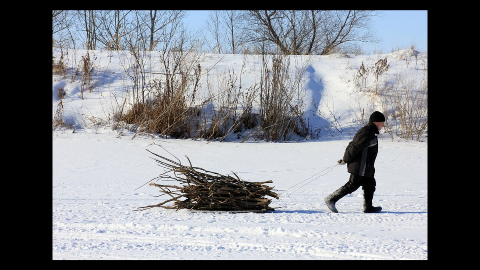 Минлесхоз РБ