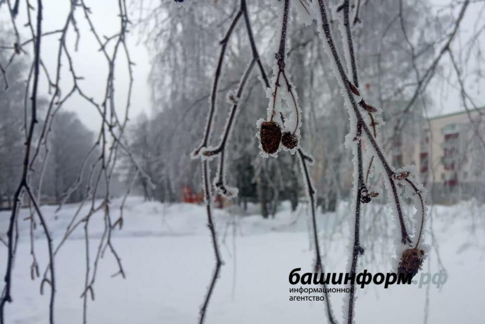 Валерий Шахов