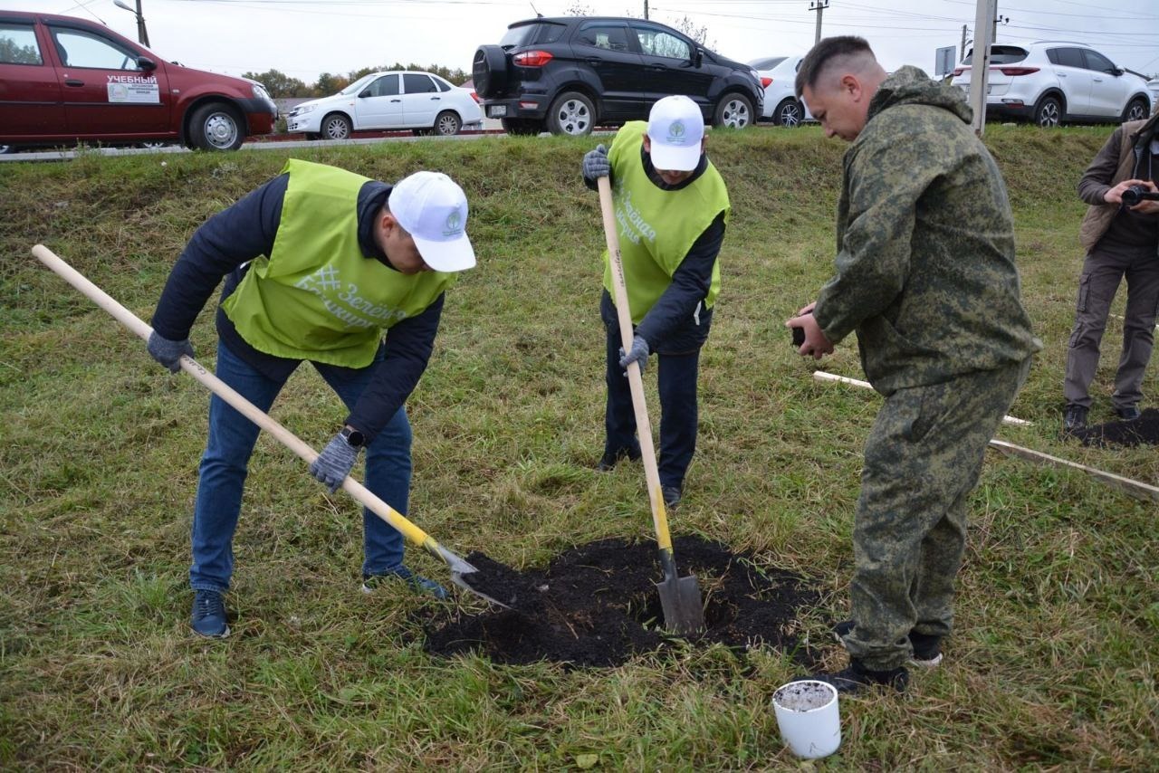 В Башкирии посадили ценный росток дуба