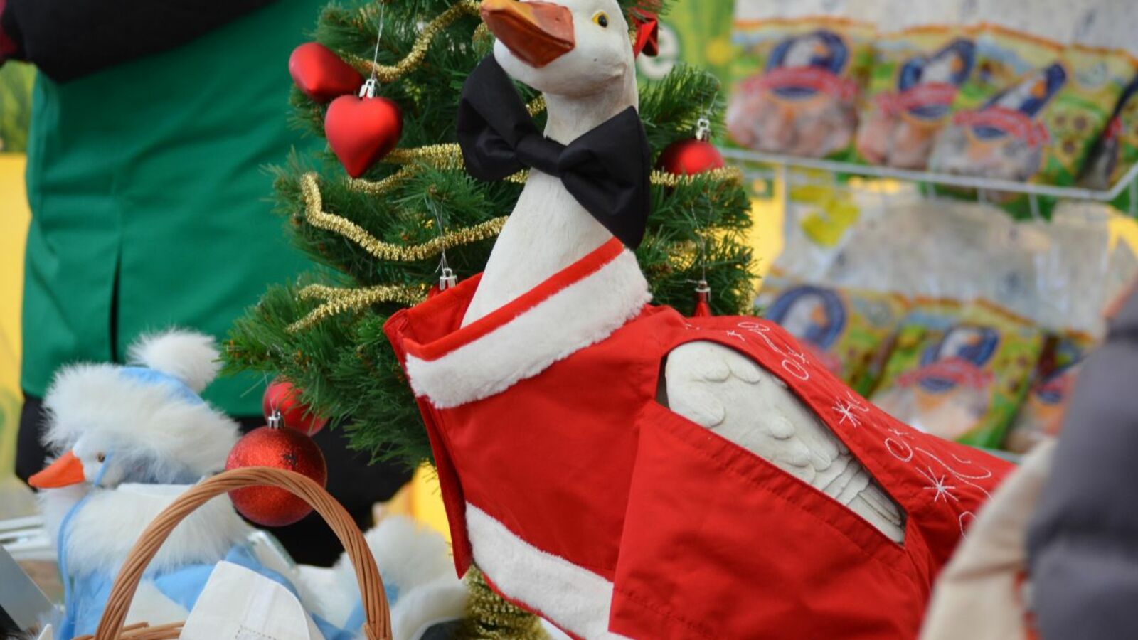 Ксения Калинина