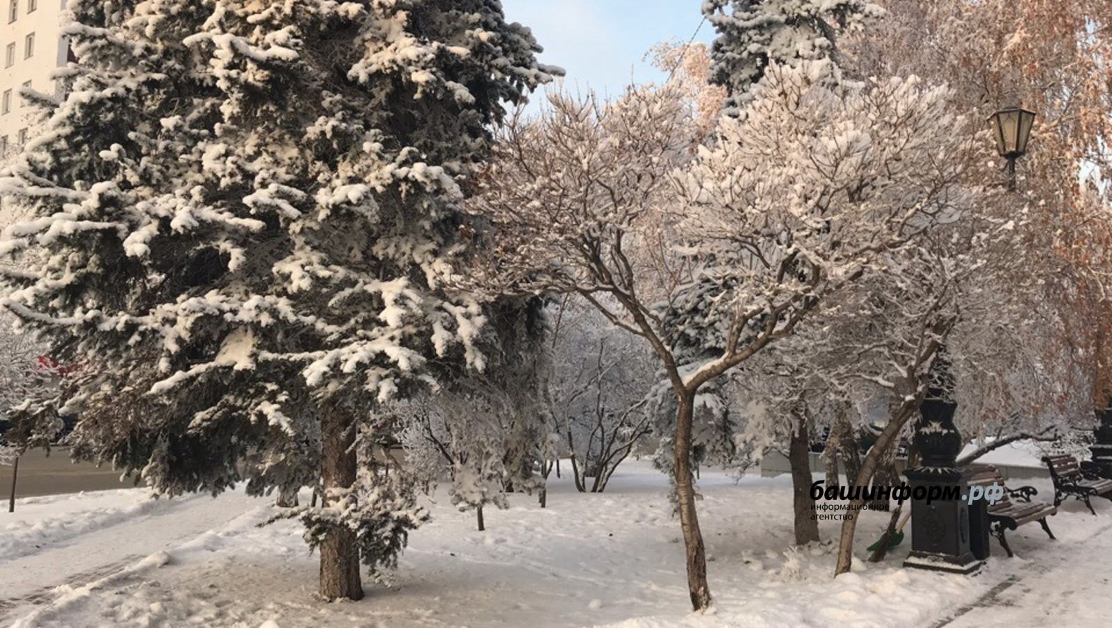 Ксения Калинина