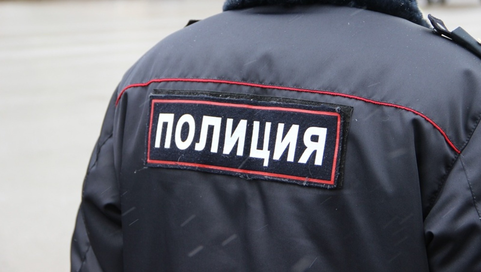Ксения Калинина